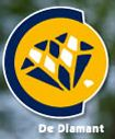 logo diamantinhetrooster